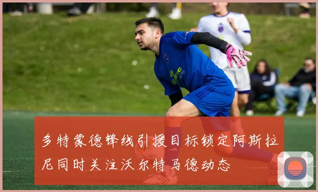 多特蒙德锋线引援目标锁定阿斯拉尼同时关注沃尔特马德动态
